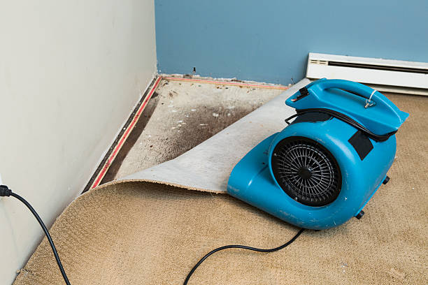 Best Flood damage cleanup  in Reliez Valley, CA